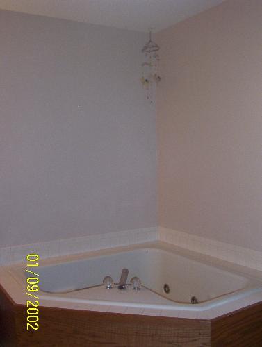 Master Bathroom Above The Tub. The Wall Is Huge!! - I need some ideas of what to paint on these huge walls!! Got any?