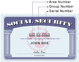 S.S. Card - Social Security Card