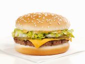 cheeseburger - photo of cheeseburger