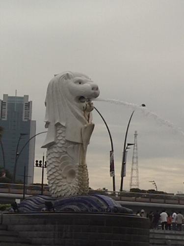 Sea Lion - The Sea Lion of Singapore