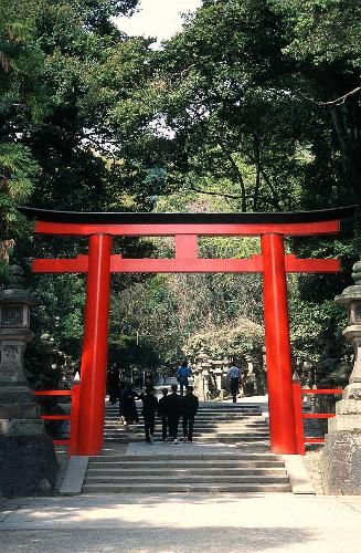 Japan - Photo shot of a Torii gate