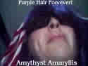 Amythyst Amaryllis - This is a photo of my online identity. You can visit www.myspace.com/amythystamarylis, www.myspace.com/amythystamarylis2, www.myspace.com/amythystamaryllissings, or www.yuwie.com/amythystamarylis to find out more details about the character. They are my web presence sites and I only expect people to visit if they are interested in finding out more about me.