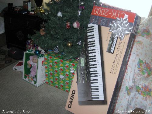 Casio Organ - The final gift purchased for our grandsons in a severe snowstorm in Minnesota.