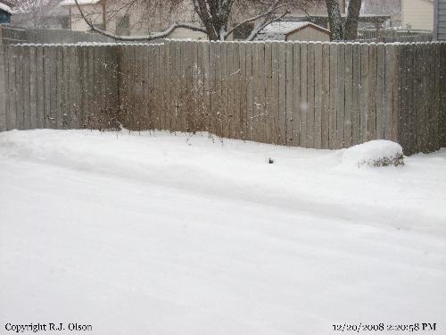 Snowy Grouind - Just a simple shot of the snow on the side of my garage right now.