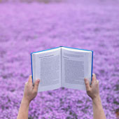 Books - Picture of a person reading a book