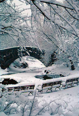 Central Park In The Winter - Image of Central Park in a snowstorm in April