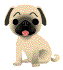arf arf - cuddly huh?