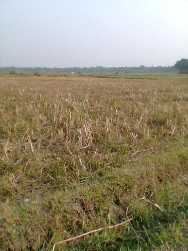 Beautiful - Bangladesh is a very beautiful country. this is a picture of bangladesh