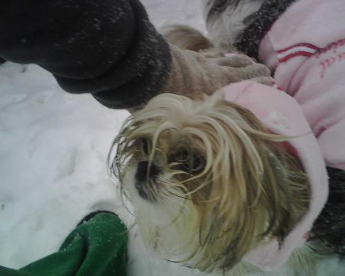 Snow Umie - Umie in the now