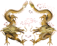 dragon - dragon fireworks