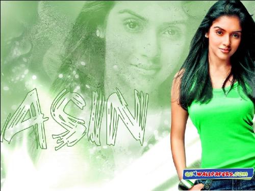 asin bollywood actress -  ghajini actress asin wallpaper