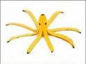 Banana cover in form of Octopus - Banana cover shaped in the form of Octopus.