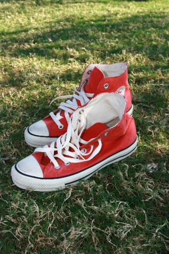 red cons - im fond of shoes.  this one is my fave, and love the red color.