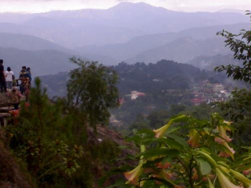 baguio - Mines View Park...love the cool breeze