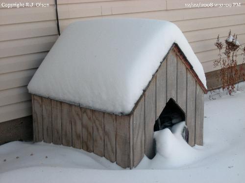 Snowy Doghouse - I love the looks of this shot.