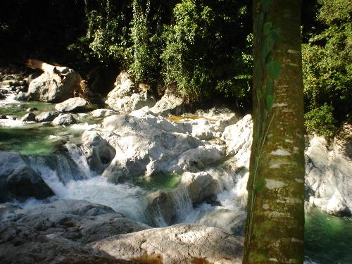Rio Colorado, La Ceiba, Honduras - The beautiful Rio Colorado in La Ceiba, Honduras. This river is located in the Pico Bonito National Park. It is crystal clear as it flows over the rocks, and it has a green color that is caused by the reflection of the surrounding trees.