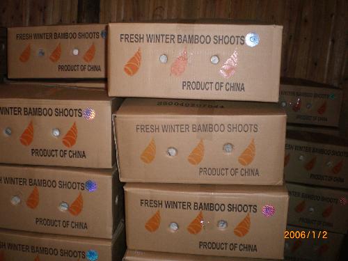 fresh winter bamboo shoots - my product fresh winter bamboo shoots