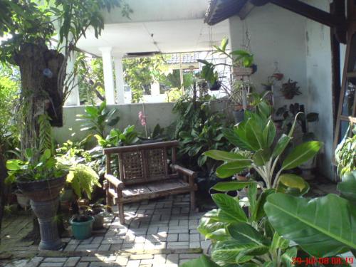 home sweet home - this is the garden in my house, but now it just a memorial, because my parent had sold our house