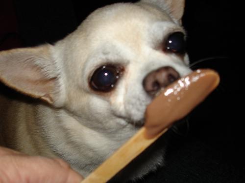 Tukay - Sharing a holiday treat Tukay - Sharing a holiday treat