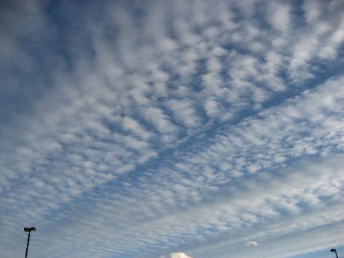 Herring Bone Clouds - I was glad the camera was in the car when these flew over.