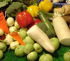 Healthy living veggies - All vegetables,especially the green leafy ones are important sources of vitamines & minerals...that keeps u healthy for life..