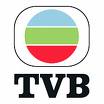 TVB series - Hong Kong cantonese drama series......