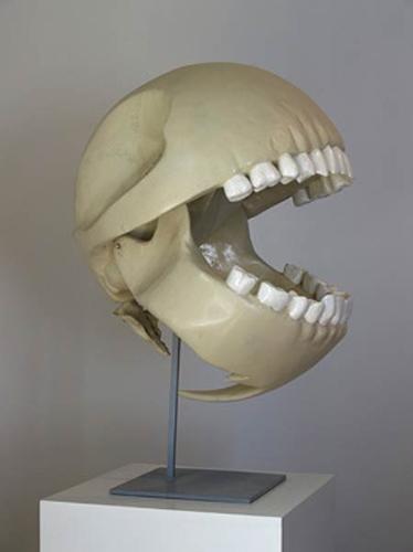 Pacman Skeleton - Like we didn't know how pacman's skeleton looks