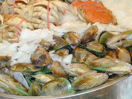 Seafood - Seafood (copyright image)