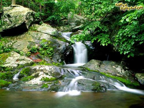 nature_33 - collection of images