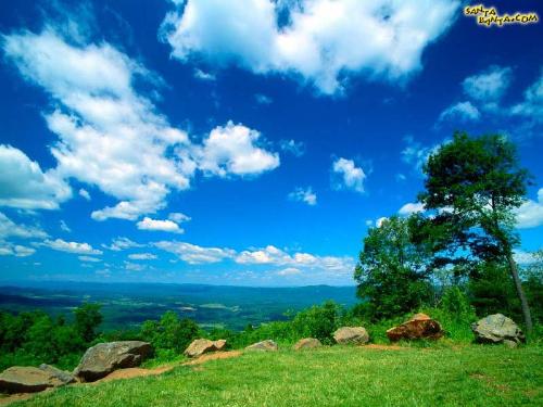 natural _images - collection of natural images