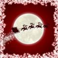 Father Christmas/Santa - Santa