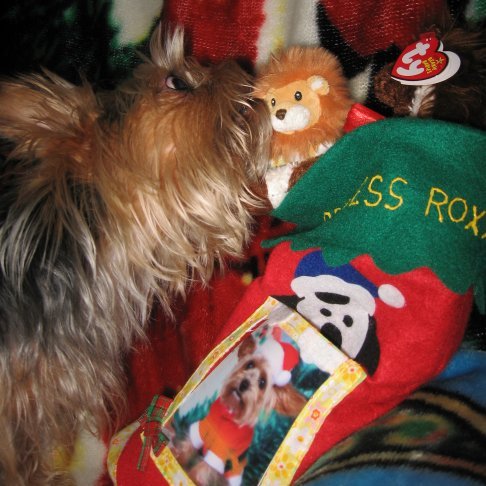 Opening Stocking - My Baby Opening Her Stocking Christmas Morning