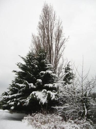 Winter in British Columbia - Winter weather in Beautiful British Columbia 2008