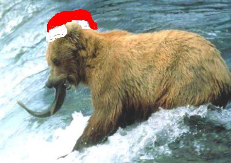 Fishing - Photo proof of expert fishing of bear.