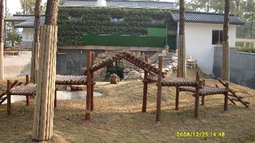 this is another photo of another panda on the othe - this is another photo of another panda from the other side of their house, which is also eating bamboo. I hope that you enjoy it.