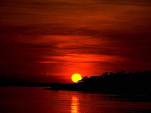 sun - the sun in red blows , the sky is so creative,we just common thing on the earth ,just like a wretch ,some day ,some years after,we may can't kown our world ,heal the world ,we just have one
