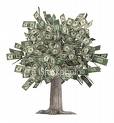 moneytree - Picture of moneytree moneytree - Picture of moneytree