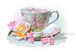 Pink and White Teacup and Saucer - Pink and White Teacup and Saucer Photo is copyrighted