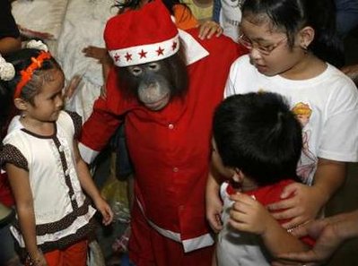 An orangutan wearing a Santa Claus suit - An orangutan wearing a Santa Claus outfit interacts with children during a promotional event for the Christmas holiday season at Malabon Zoo in Manila December 14, 2008.
