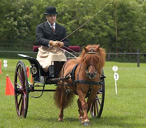 Driving with out petrol - So u thought every ride would require u to fill up ur tank with petrol ???naa..here is an alternative....