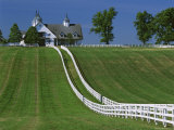 white fence - White fences of Kentucky over rolling hills, house in background