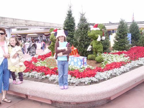 disney world - epcot at disney world