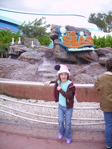 the seas - at disney, the nemo ride