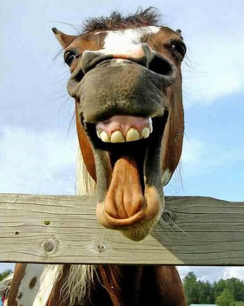 Keep smiling. - To stay healthy and fit keep smiling.