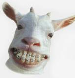 keep smiling - keep smiling to enjoy good life.