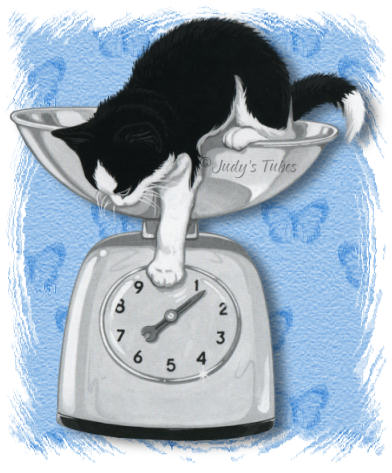Overweight? - Cat tipping the scales