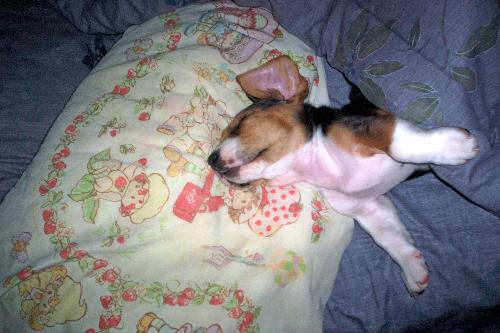 Chloe - My new baby
