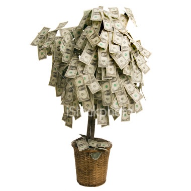 Tree - money tree