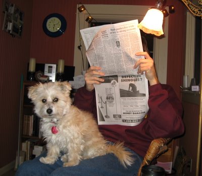 Cute dog - Cute dog..I wonder why is he looking so tensed...whats in the news that his master told him ??