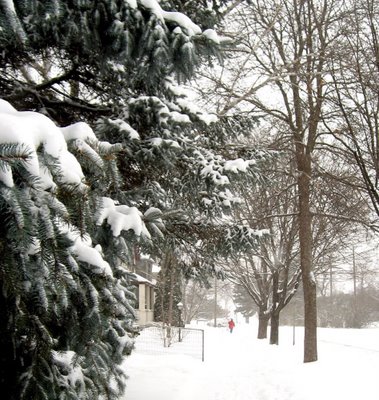 Really the coolest place - Oooo...it must be freezing out there...but looks very beautiful
